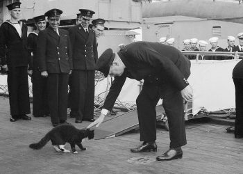 O Tσώρτσιλ με τον Μπλάκι.